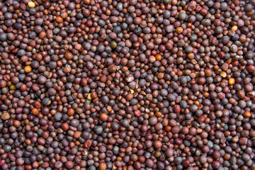 Close Up Background Texture Of A Pile Of Black Mustard Seeds.