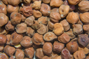 Dry Chickpea Chana Or Blackgram Background & Texture Close Up  Image.