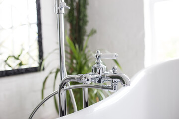 Faucet with shower in the bathroom close-up. Bright white room with greens.