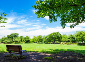 緑の公園と木陰のベンチ