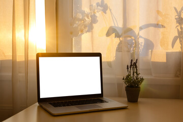 Fototapeta premium Side view of Open laptop computer. Modern thin edge slim design. Blank white screen display for mockup and gray metal aluminum material body isolated on blue background