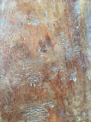 texture of the old wood