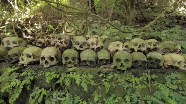 Bali Trunyan Terunyan Village Balinese Cemetary Skull Skulls Skeleton Dead Human Bones Death Deceased