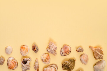 Summer background with seashells on yellow background in minimal style. Concept of summer, travel, vacations. Top view, copy space.