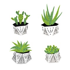 Set of green cacti and succulents in geometric pots.