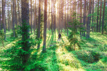 wildlife photographer in the sun  the forest inspired by nature travel photo blogger