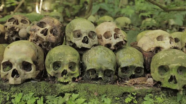 Bali Trunyan Terunyan Village Balinese Cemetary Skull Skulls Skeleton Dead Human Bones Death Deceased
