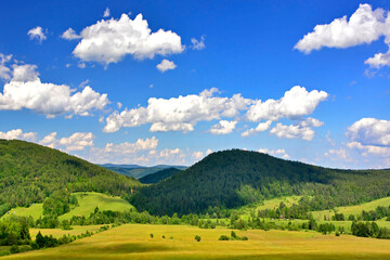 Beautiful summer landscape in the mountains with green meadows and forested hills, Low Beskids (Beskid Niski), Poland  - obrazy, fototapety, plakaty