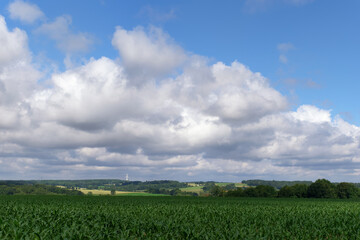 Fototapeta na wymiar Agricultural land in Seine et Marne hills