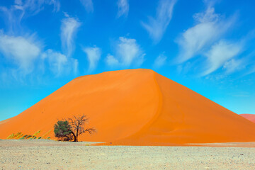 Fototapeta na wymiar Paintings of sand dunes