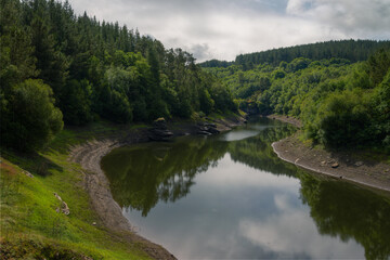 Fototapeta na wymiar Removes water from a river reflecting the environment of mixed forests and cloudy sky