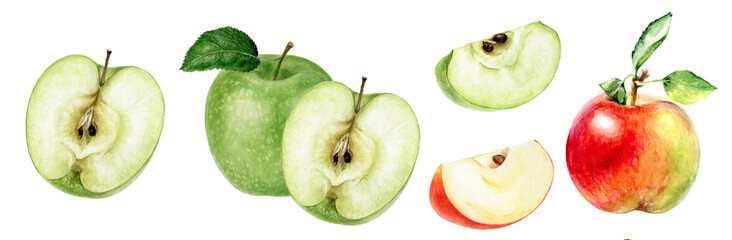 Set of apples watercolor illustration isolated on white background