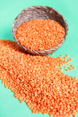 small dry grains of red lentils on a green background