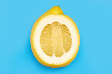 sliced yellow lemon on a blue background