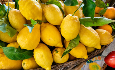 Close up of lemons in the busket.