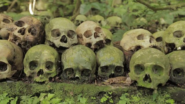 Bali Trunyan Terunyan Village Balinese Cemetary Skull Skulls Skeleton Dead Human Bones Death Deceased