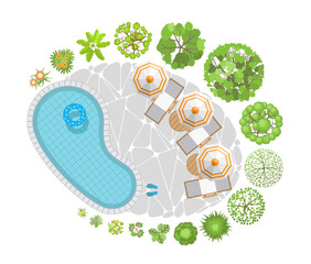 Vector illustration. A swimming pool with umbrellas, sun beds and trees. Top view. Landscape design.  View from above.