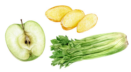 Green apple half celery banch and ginger slices watercolor illustration isolated on white background