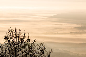 Obraz premium Paisajes de montañas entre nieblas