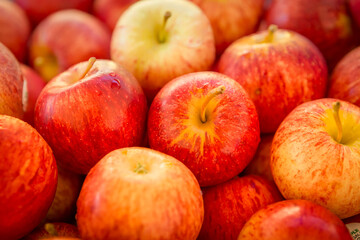 Fototapeta na wymiar A variety of red apples