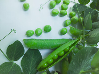 green peas with leaves and pods and green pea grains on a light background