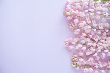 Pink lupins on a gently pink background. Copy Space.