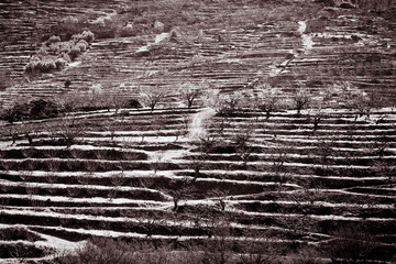 Preciosa panorámica del Valle del Jerte al norte de Cáceres