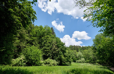 Beautiful idyllic countryside landscape with lush green trees. Seen in Germany near Weissenohe in June.