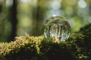 Environment concept, a crystal ball lies on a moss in the forest, reflection of the forest. concept and theme of nature, environmental protection. relaxation. glass material.