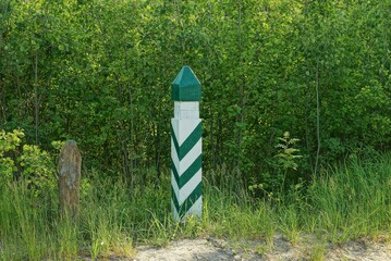 striped signal pole among the green vegetation in the forest