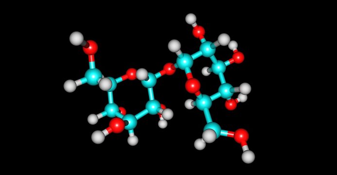 Trehalose molecular structure isolated on black