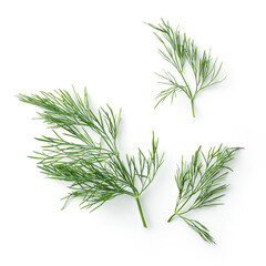 fresh dill leaves