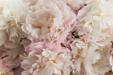 close up of rice with pink flowers