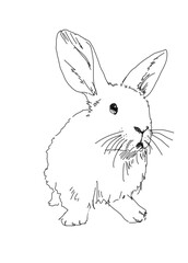 hand drawing line art of small easter rabbit 