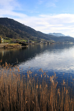 Lakeside of Lake Aegeri