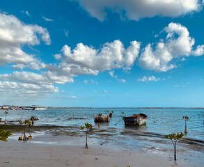 beach and sky