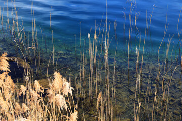 Lakeside of Lake Aegeri