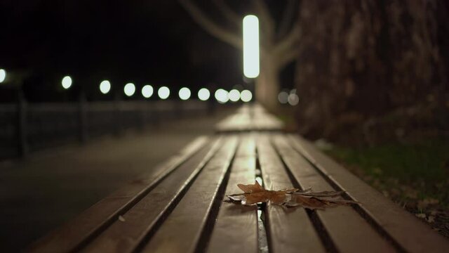 City river embankment lit by lanterns at night in autumn, fallen leaves on wooden bench shallow depth of field.