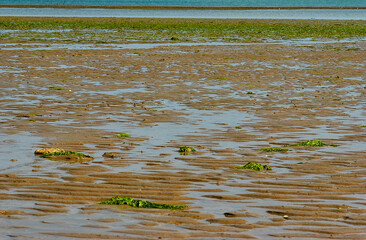plage à la marée basse

