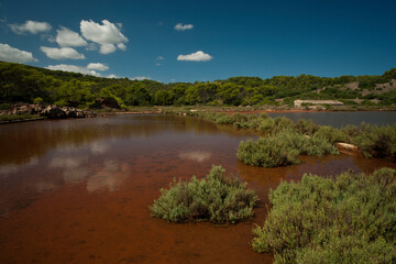 Ses salines.Mongofre Nou.Menorca.Islas Baleares. España.