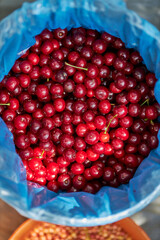 Harvested ripe cherry. Agriculture. Berries Cherry.