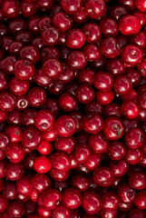 Background from ripe cherries. Harvested ripe cherry. Agriculture. Berries Cherry.