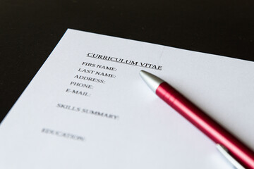 Draw up a Curriculum Vitae, filling in a form