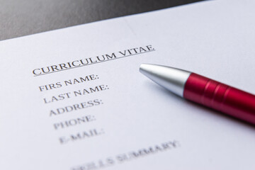 Draw up a Curriculum Vitae, filling in a form