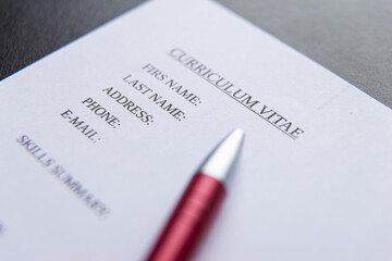Obraz premium Draw up a Curriculum Vitae, filling in a form
