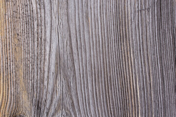 Texture of old wooden board with knot, closeup.