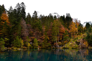 Fototapeta na wymiar Blausee, Kandergrund, Switzerland - 11.01.2018: Beautiful mountain blue lake in the mountains. Autumn landscape, yellow trees. Crystal clear, transparent water of the blue lake. Mountain landscape.