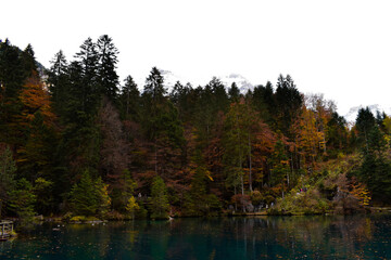Obraz premium Blausee, Kandergrund, Switzerland - 11.01.2018: Beautiful mountain blue lake in the mountains. Autumn landscape, yellow trees. Crystal clear, transparent water of the blue lake. Mountain landscape.