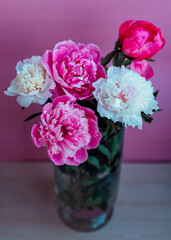 beautiful bouquet of pink and white peony in transparent vase on pink background. Greetings concept. Holiday mood.