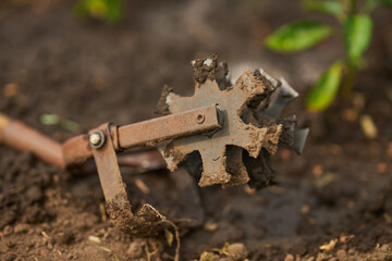 Garden cultivator tool. Tools for the garden.
